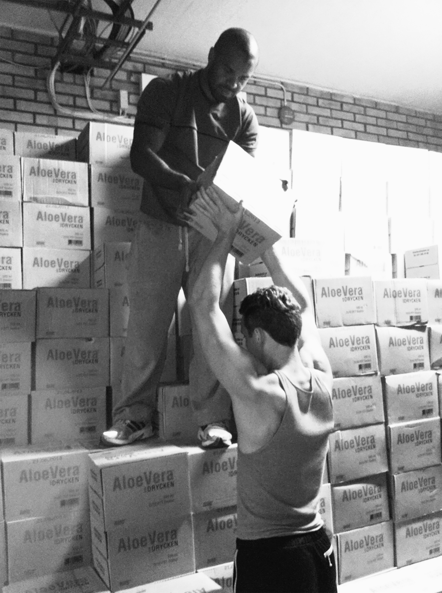 Historiebild_Lastar_AloeVera
